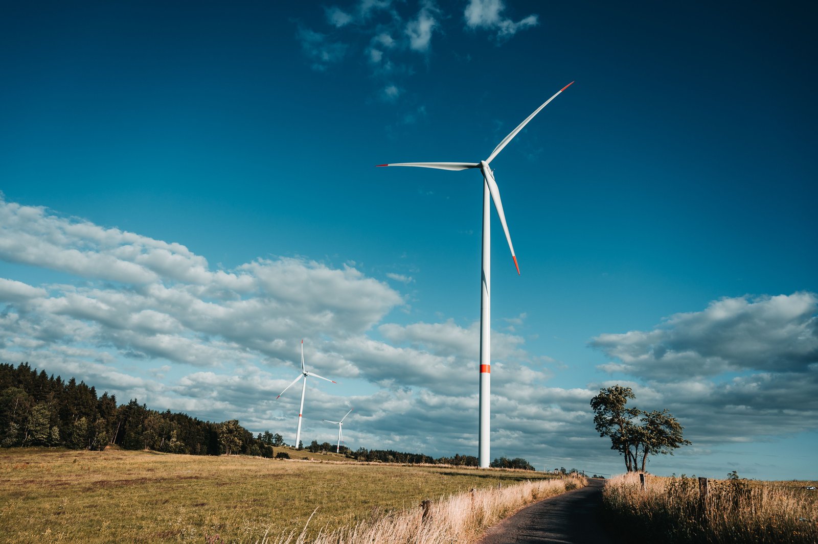Eco Renewables